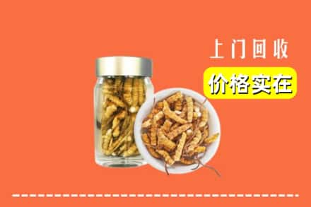 收购资讯:福州市鼓楼回收散虫草