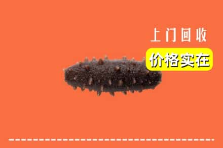 收购资讯:福州市鼓楼回收海参