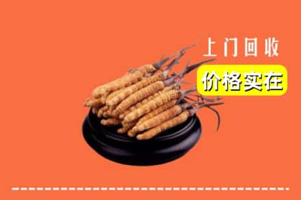 收购资讯:福州市鼓楼回收冬虫夏草