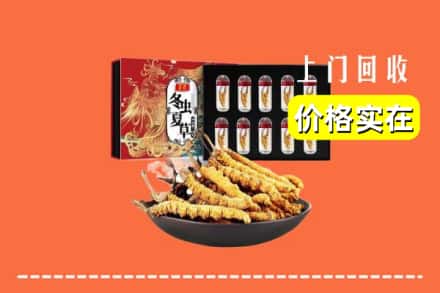 福州市鼓楼回收虫草